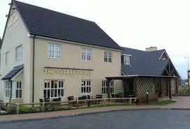 An image of Cherry Laurel